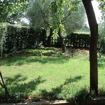 Apartment Martina Biograd Na Moru Εξωτερικό φωτογραφία