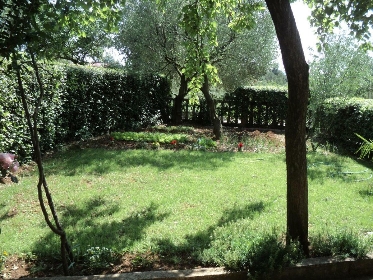 Apartment Martina Biograd Na Moru Εξωτερικό φωτογραφία