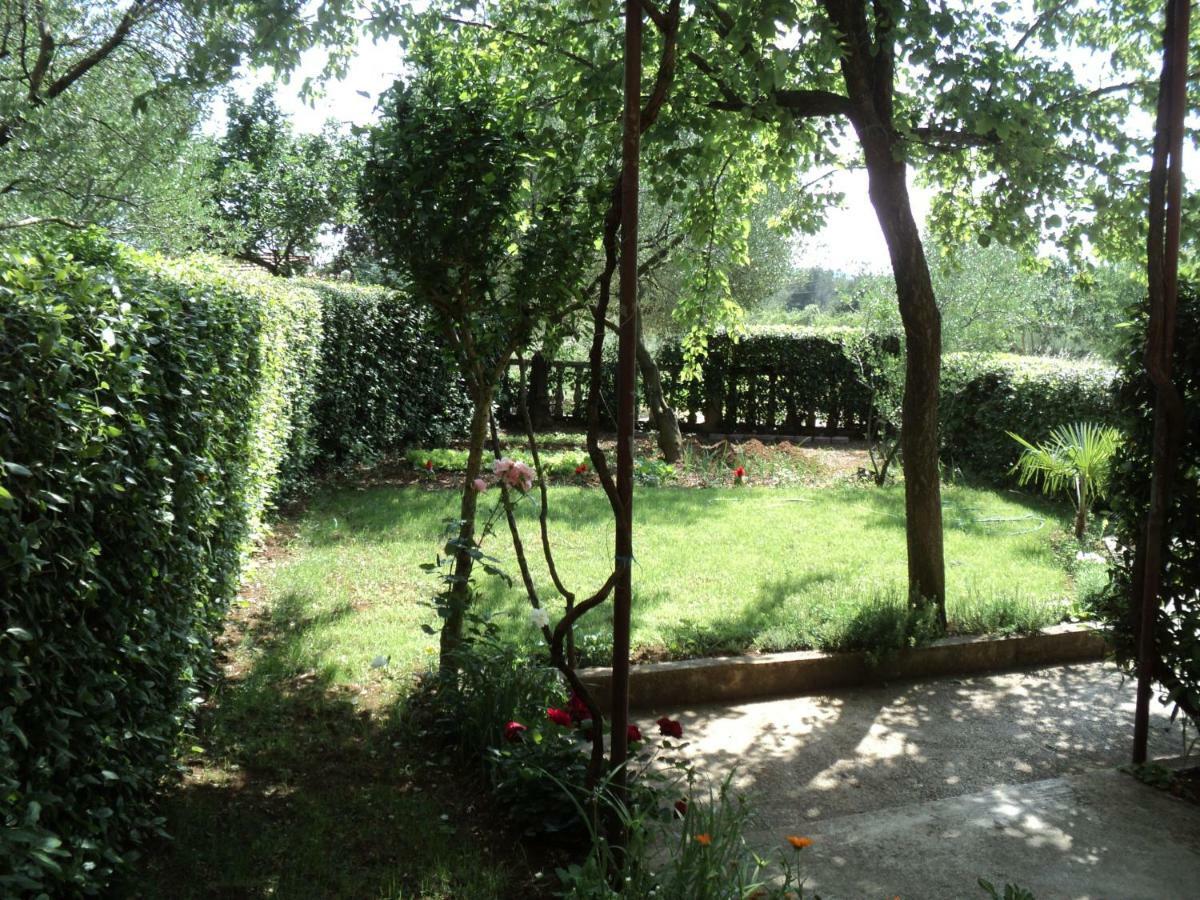 Apartment Martina Biograd Na Moru Εξωτερικό φωτογραφία