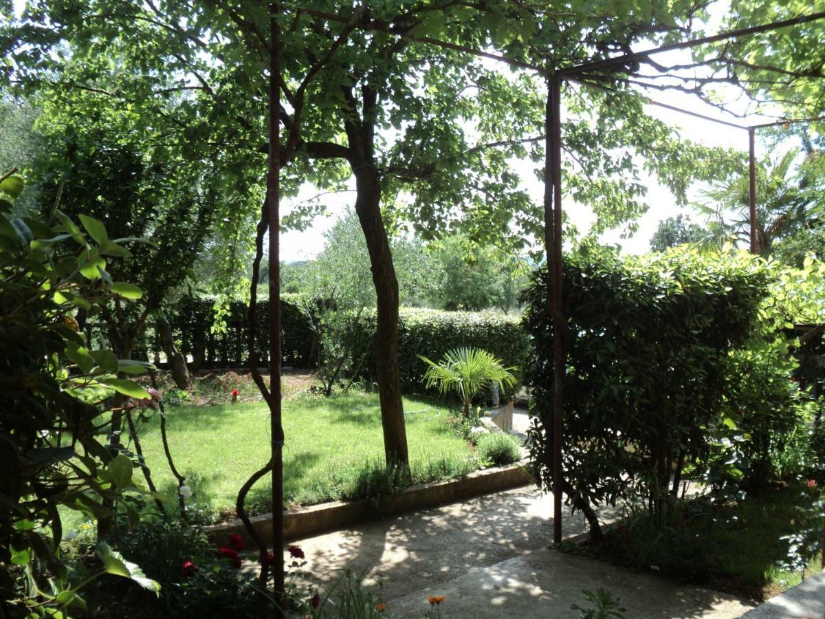 Apartment Martina Biograd Na Moru Εξωτερικό φωτογραφία