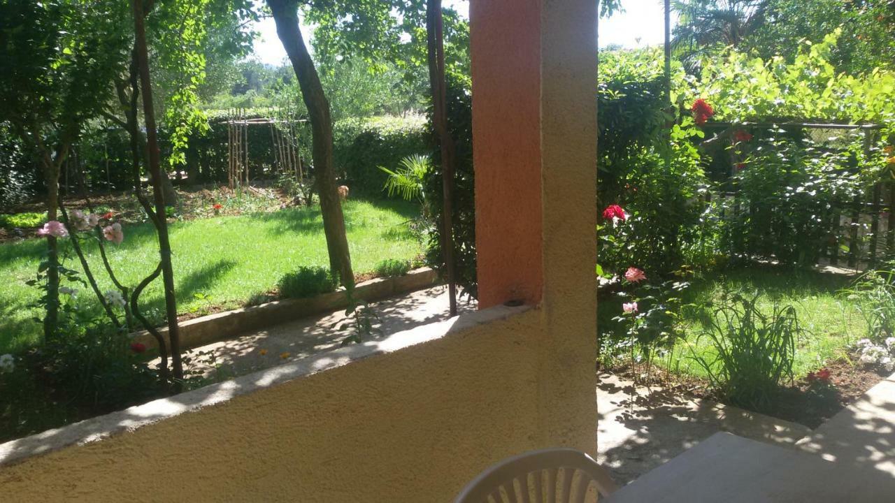 Apartment Martina Biograd Na Moru Εξωτερικό φωτογραφία